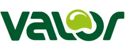 Valor